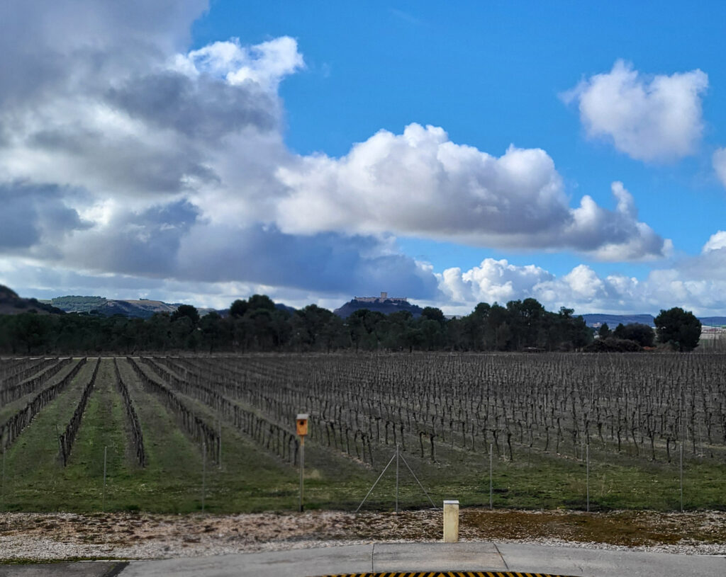 Ribera de Duero