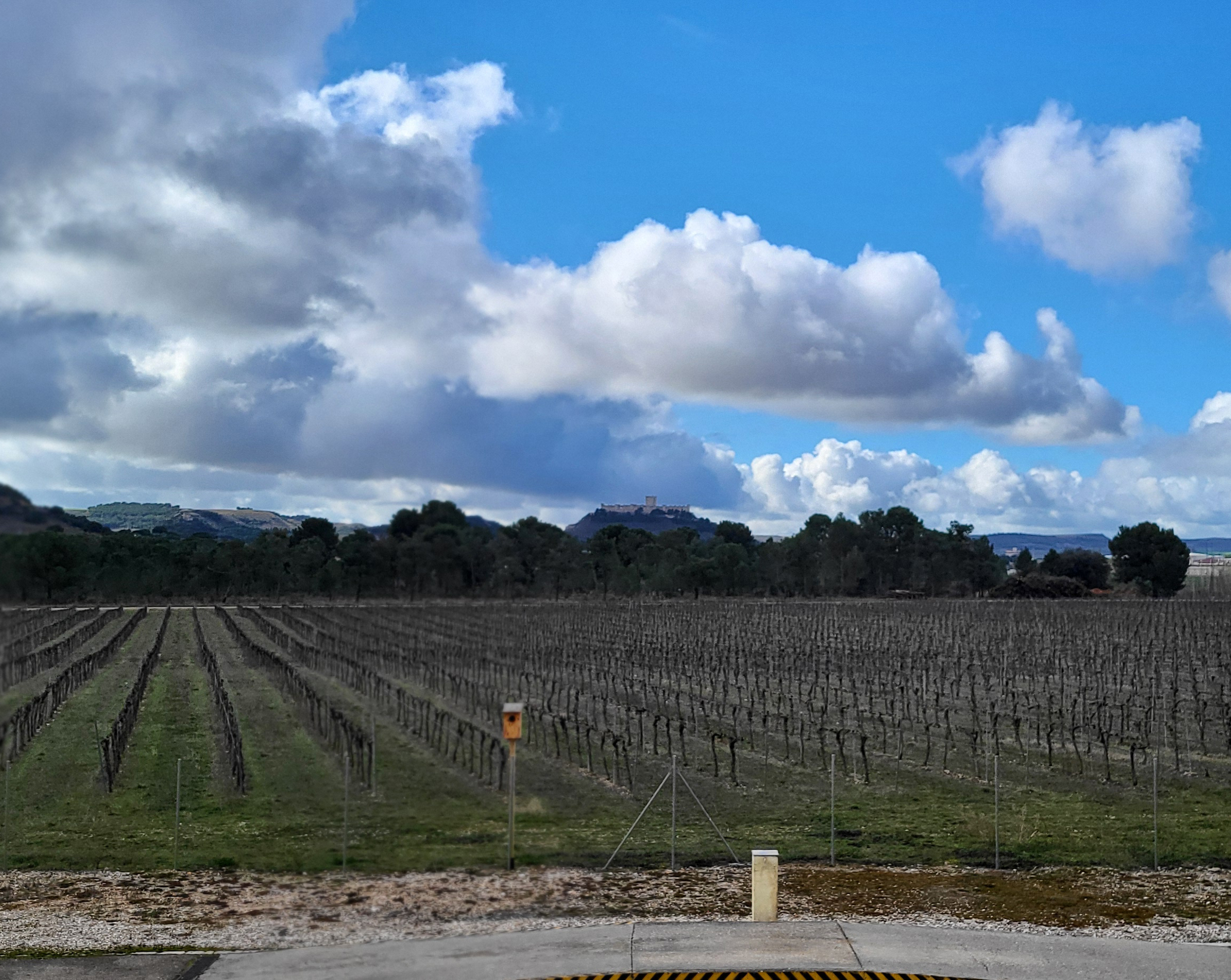 Ribera de Duero
